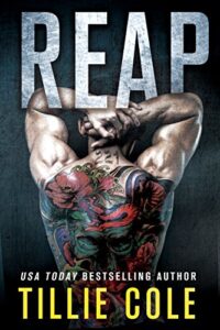 Reap A Scarred Souls book cover